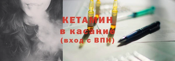 шишки Сосновый Бор