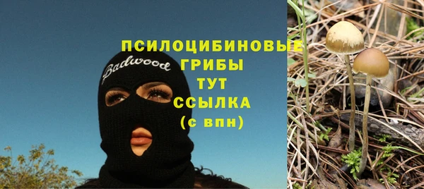 трава Краснотурьинск