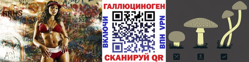 Купить где  Дальнегорск  Галлюциногенные грибы GOLDEN TEACHER 